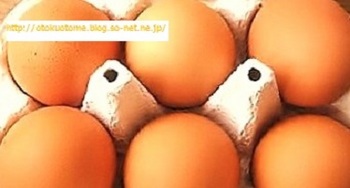 九州の卵.jpg